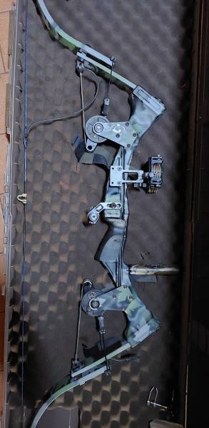 Bow, Strike eagle bow for sale. Comes without sight and stabilizer. 
draw lenght is long. Selling it because the draw lenght is too long for my child bow is in good condition 