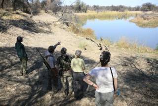Hunting Operators, South Africa, Limpopo, Polokwane