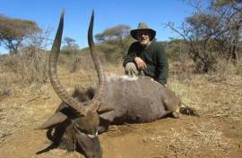 Hunting Outfitters, South Africa, Province of North West, Rustenburg