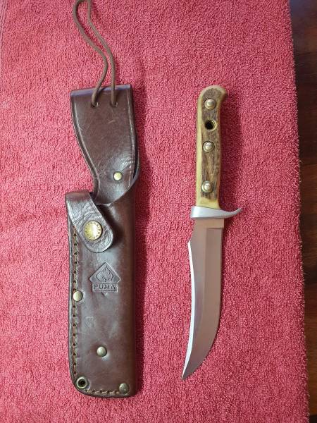 PUMA KNIVE, PUMA SKINNER WITH DEER HORN HANDEL.  
IN MINT CONDITION.  NEVER BEEN USED