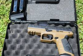 Beretta apx, Beretta apx with fde frame and original black frame with adjustable sights