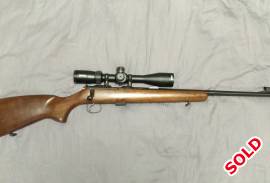 .22LR, Excellent condition .22 with Bushnell rimfire scope and Leopold rings.