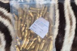 7mm SAUM, 7mm Saum
Bertram brass
100x new sealed pack R 3200 neg
100x fired cases R 2500neg