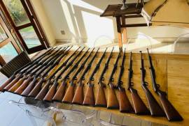 Bsa air rifle collection , A 18 air rifle collection of some of the scarcest Bsa models of vintage air rifles for sale selling also apart but would like a offer on the lot of 18 pm me for more info Vinatge pre 1920s vintage Bsa air rifles collection ! 