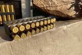 300 WBY MAG Brass Cases (Doppe), x111 .300 WBY MAG Brass Cases (Doppe).
Fired only once
Includes various brands incl. Hornady, Norma etc.
R2200, ONCO. 
Price Negotiable