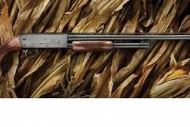 Pump Action Shotgun, R 8,000.00