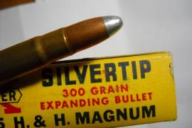 .375 Magnum Ammo, Silvertip
 