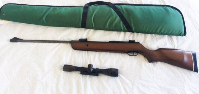 Powerful Air Rifle, Great Air rifle looking for a new home