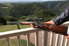 Pedersoli 54 calibre black powder rifle, Black powder rifle with grooved barrel. Less than 150 shots fired. Scoped with a Lynx 4x38 Long Eye Relief scope. Extremely accurate. Price includes the scope.