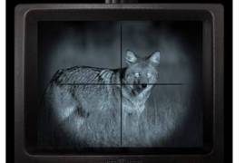 Night VISION Hunting - Nitesite Rtek Wolf, Night vision hunting Nitesite Wolf Rtek - in as New condition

Franco
0784600175