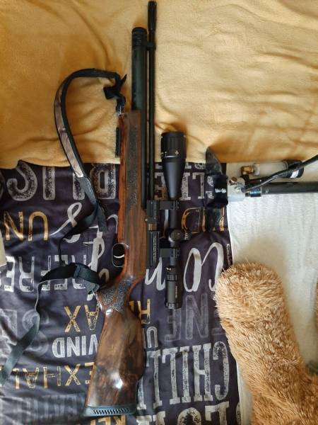 Pcp air rifle , Pcp air rifle with a very good scope, silencer, 2 12round mags and a pcp pump 