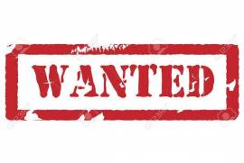 Wanted: Anschutz 1710 D HB, Looking for an Anschutz 1710 D HB .22lr rifle...

Rickus
082 296 4155
Pta