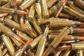 7.62x51 Ammo wanted