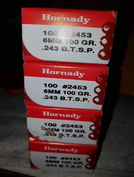 .243 Hornady 100gn BTSP, 400 Bullets  @ R 450 / 100 all to go 
excl courier
Polokwane  074 444 9377