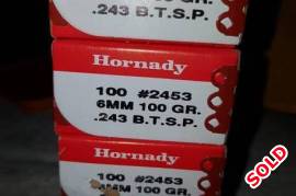 .243 Hornady 100gn BTSP, 400 Bullets  @ R 450 / 100 all to go 
excl courier
Polokwane  074 444 9377