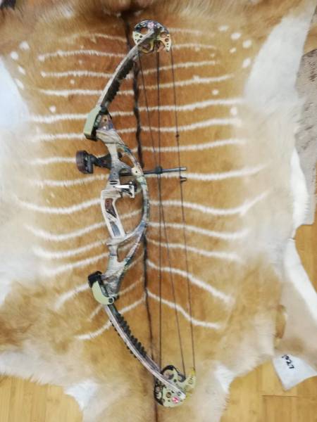 Reflex Higlander by Hoyt Compound bow Combo, The Reflex Highlander Compound Bow by Hoyt with sight, stabiliser and rest. Also includes 3 arrows and a release.

Fully adjustable. No bow press required. Adjust to your specs at home.

Draw length and Poundage fully adjustable.

All for R3500.
