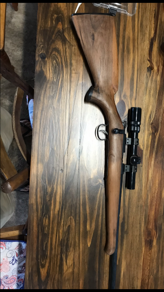 .22, .22 norinco with a Bruno stock, a bushnell scope, a silencer and a 10 shot mag all included works perfectly ,not a spot of rust, prints elley ammo through the same hole selling because I want to buy a .17hmr 
whatsap me 0823860553
