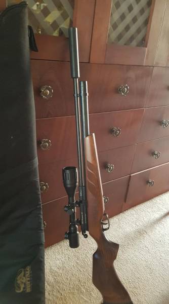 BSA Baccaneer. 22 5.5mm PCP, BSA Buccaneer 5.5mm PCP for sale, comes with Gamo 3-12x50 AOE Illuminated scope, dive cylinder and filling probe, gun bag also included and 2x tins of 500 JSB Exact pellets.