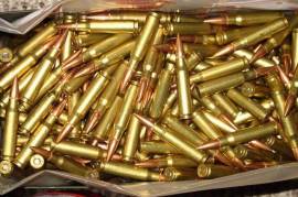 Looking for 7.62x51 Brass cased surplus ammo