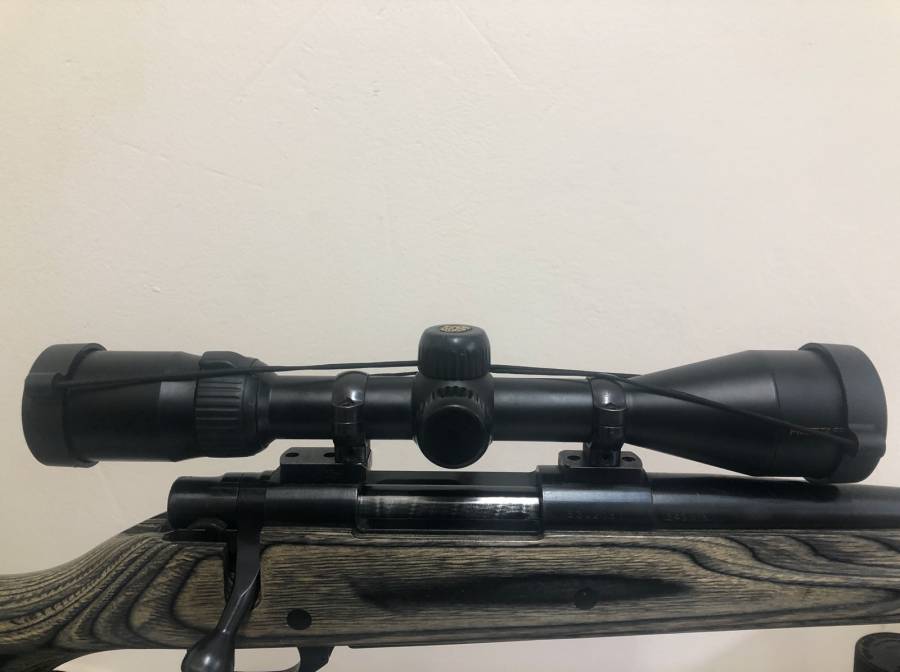 Nikon Prostaff 3-9x40, I'm selling my Prostaff - its has been on my 243 since I bought it several years ago, goes out hunting 2-3 times a year and otherwise sits in the safe.  Glass is great quality for an entry level scope and it is in excellent condition.

I have all the original packaging, and a set of lynx rings and bases is included in the sale.