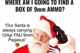 Has Santa Got You Covered?, Brand new Pegasus 9x19mm 124gr FMJ ammo.